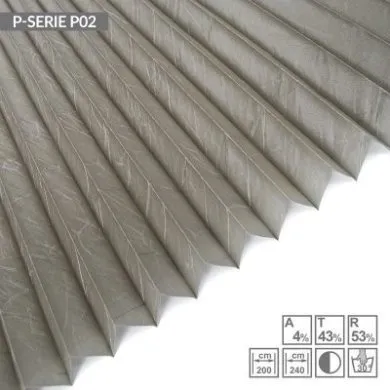 P02