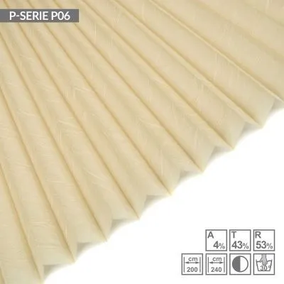 P06
