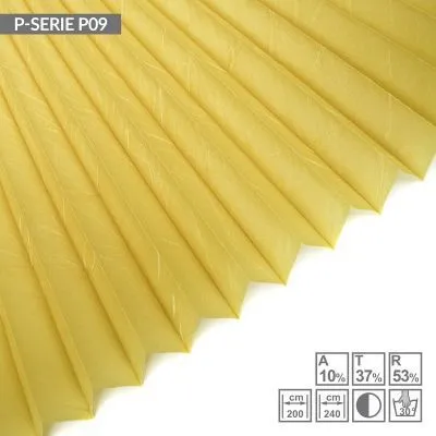 P09
