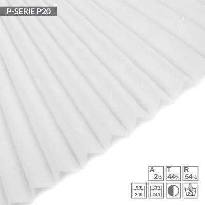 P20