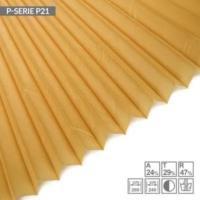 P21