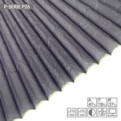 P26